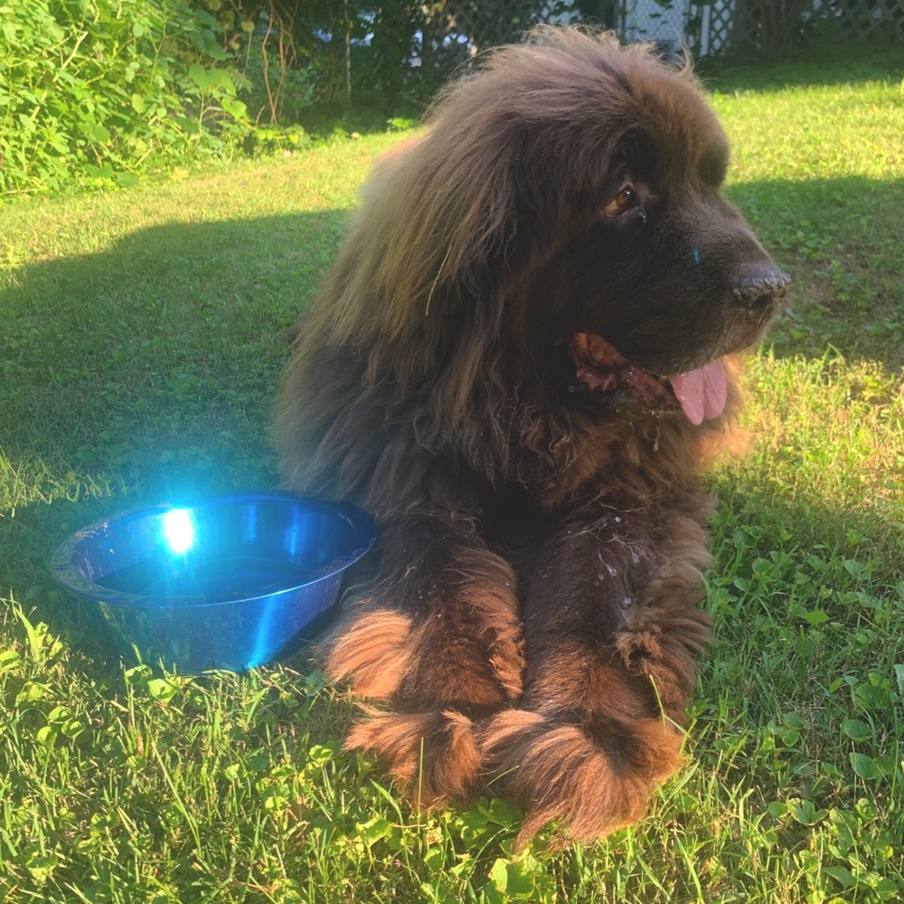 Meet your Posher, Alayna